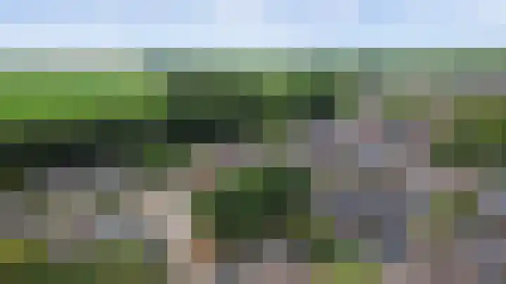 Vioolerf 14 's-Gravendeel thumbnail 37