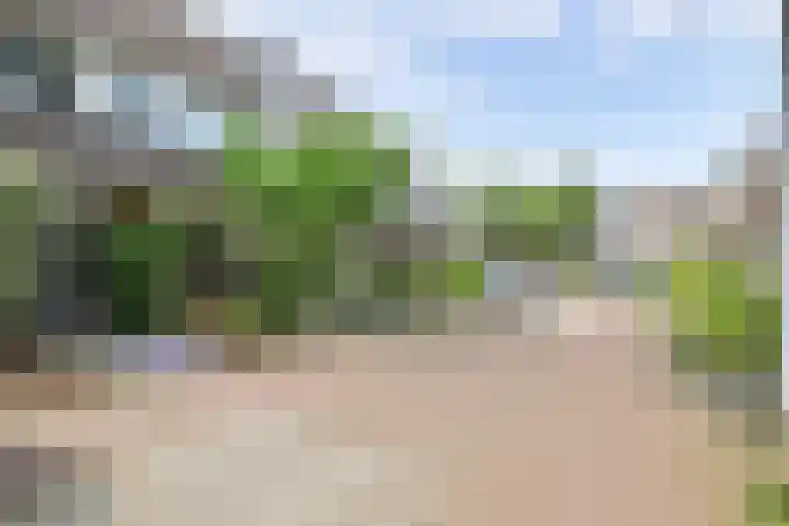 Vioolerf 14 's-Gravendeel thumbnail 4