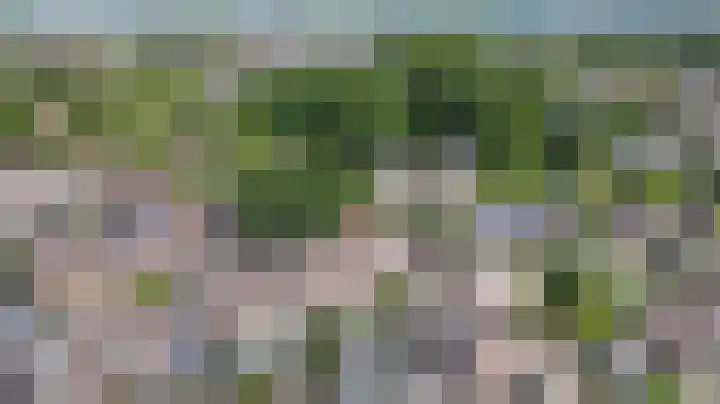 Vioolerf 14 's-Gravendeel thumbnail 40