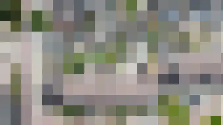 Vioolerf 14 's-Gravendeel thumbnail 41