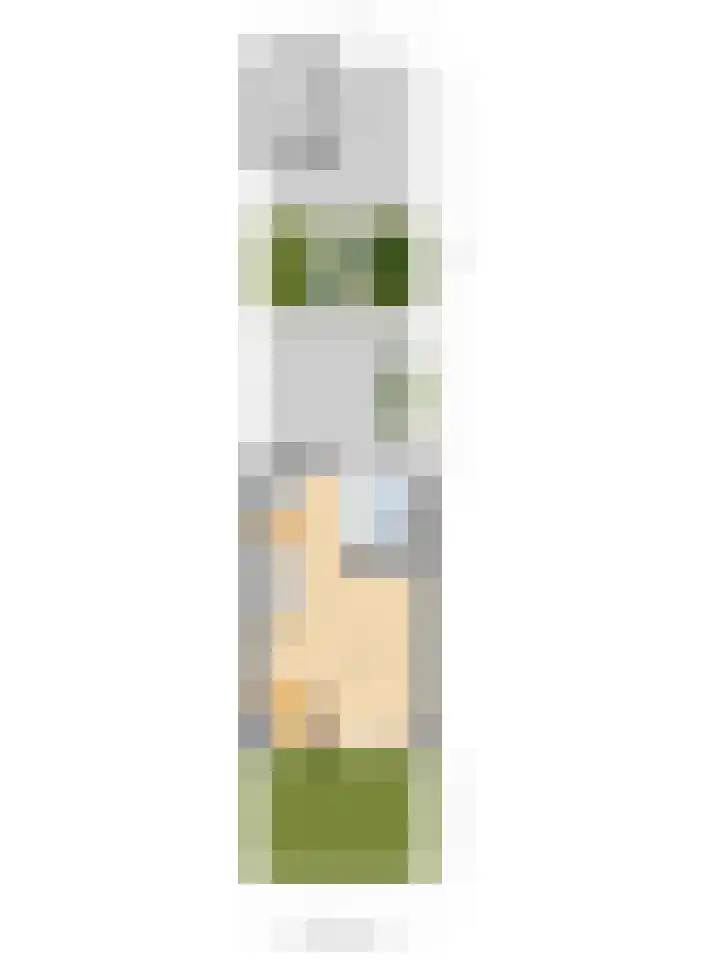 Vioolerf 14 's-Gravendeel thumbnail 46