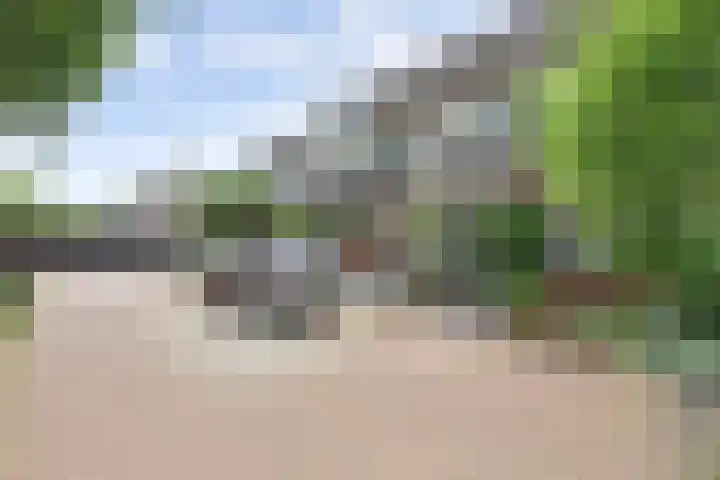 Vioolerf 14 's-Gravendeel thumbnail 5