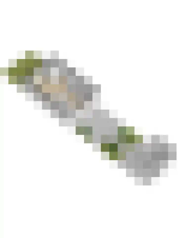 Vioolerf 14 's-Gravendeel thumbnail 51