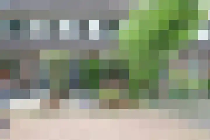 Vioolerf 14 's-Gravendeel thumbnail 6