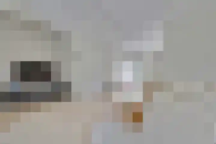 Vioolerf 14 's-Gravendeel thumbnail 8