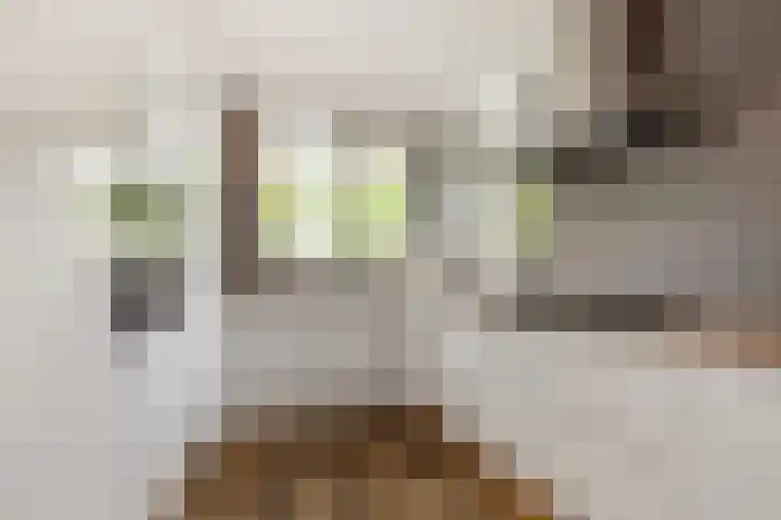 Vioolhof 22 Barendrecht thumbnail 10