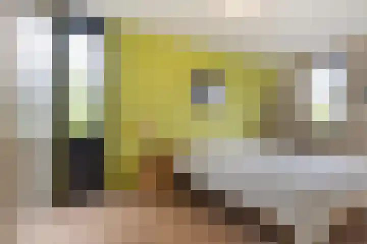 Vioolhof 22 Barendrecht thumbnail 18