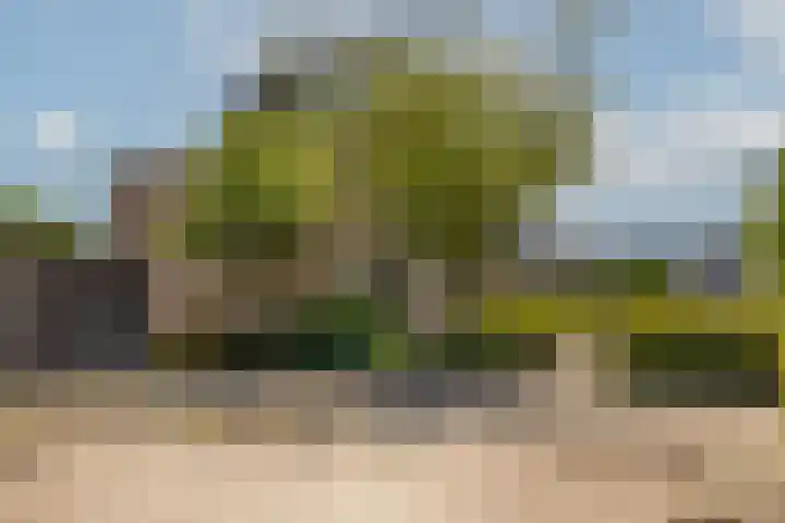 Vioolhof 22 Barendrecht thumbnail 33