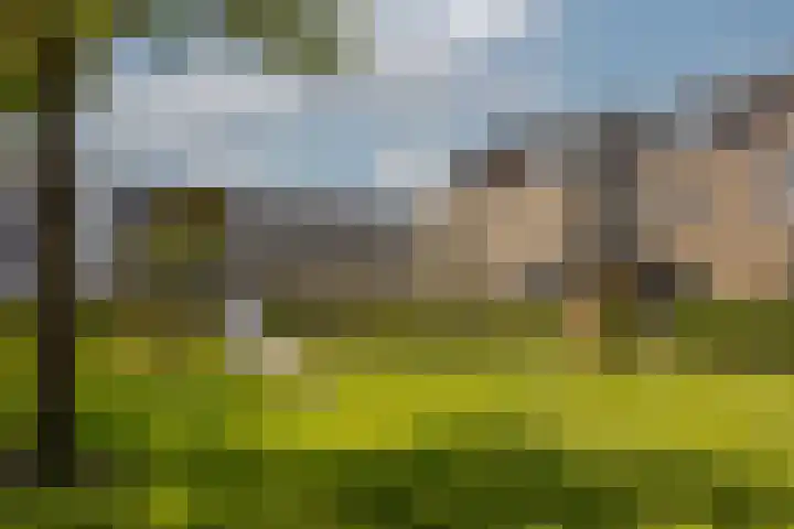 Vioolhof 22 Barendrecht thumbnail 34