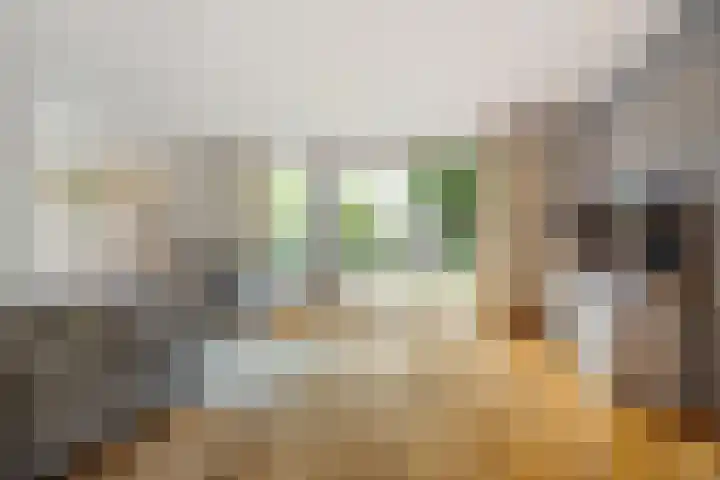 Vioolhof 22 Barendrecht thumbnail 7