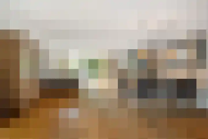 Vioolhof 22 Barendrecht thumbnail 8