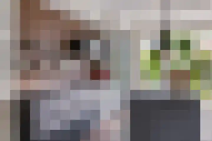 Vioolstraat 22 Eindhoven thumbnail 17