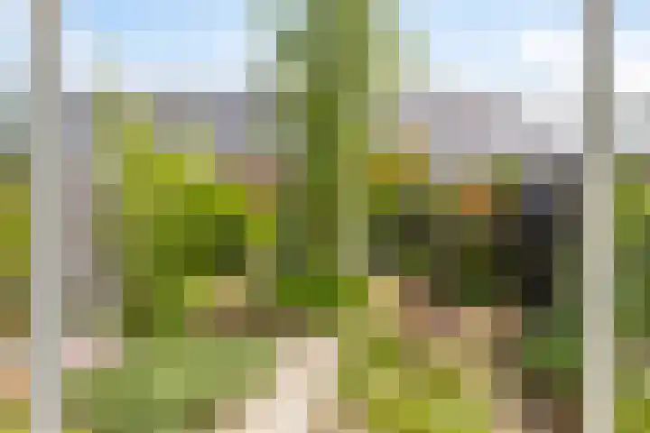 Vioolstraat 22 Eindhoven thumbnail 5
