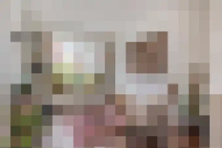 Vioolstraat 22 Eindhoven thumbnail 9