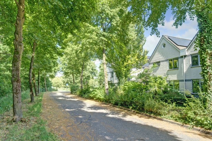 Vioolstraat 27 en Duiven foto