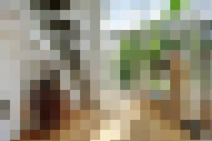 Vioolstraat 27 Duiven thumbnail 10