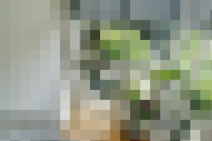 Vioolstraat 27 Duiven thumbnail 11