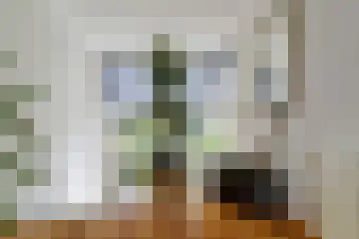 Vioolstraat 27 Duiven thumbnail 13