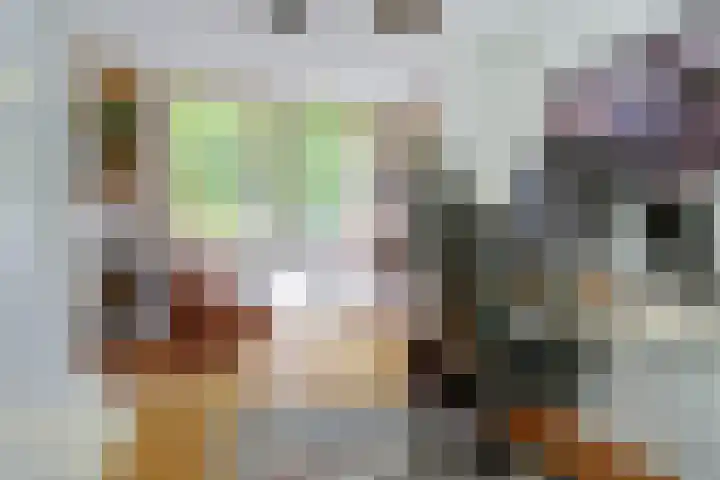 Vioolstraat 27 Duiven thumbnail 14