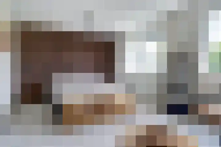 Vioolstraat 27 Duiven thumbnail 17