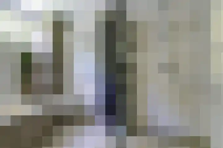 Vioolstraat 27 Duiven thumbnail 21