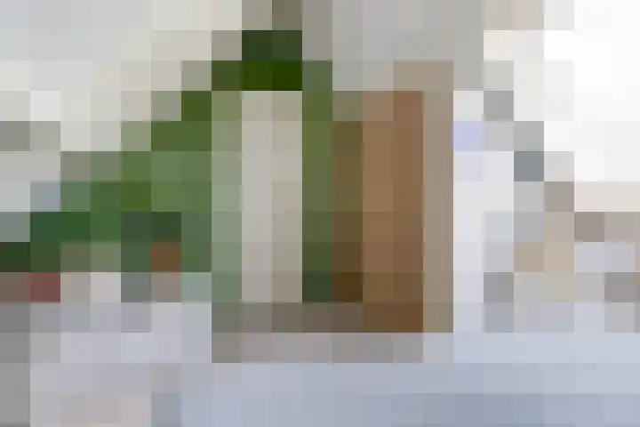 Vioolstraat 27 Duiven thumbnail 24
