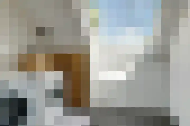 Vioolstraat 27 Duiven thumbnail 26