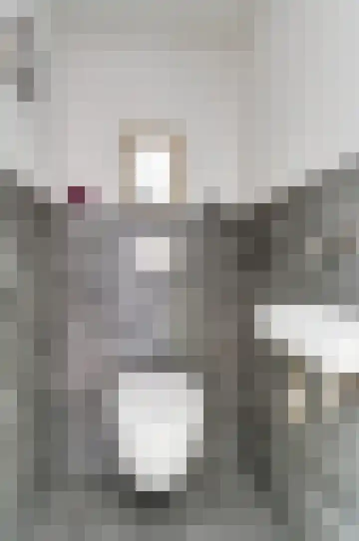 Vioolstraat 27 Duiven thumbnail 27