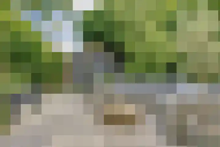 Vioolstraat 27 Duiven thumbnail 28