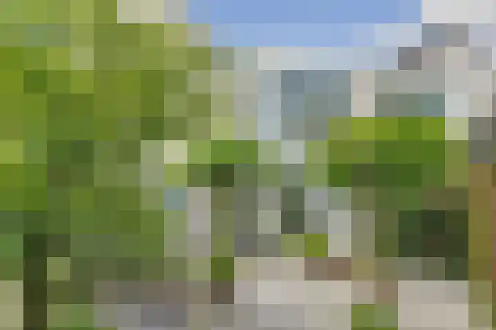 Vioolstraat 27 Duiven thumbnail 29