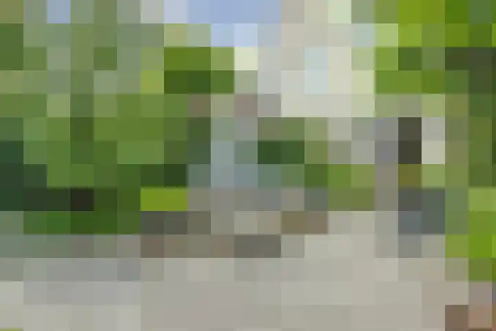 Vioolstraat 27 Duiven thumbnail 30