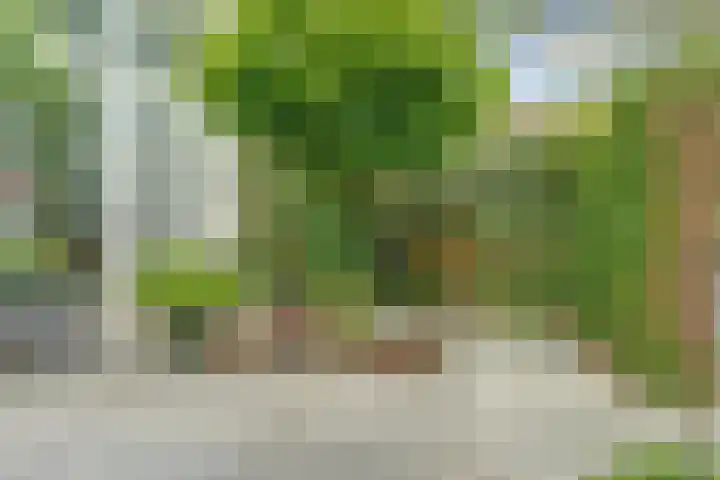 Vioolstraat 27 Duiven thumbnail 31