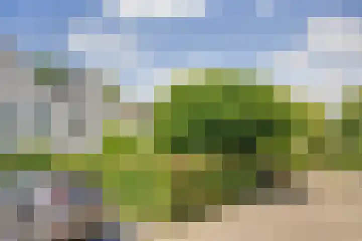Vioolstraat 27 Duiven thumbnail 32