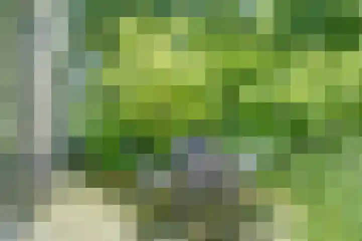 Vioolstraat 27 Duiven thumbnail 33