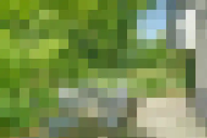 Vioolstraat 27 Duiven thumbnail 34