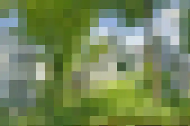 Vioolstraat 27 Duiven thumbnail 35