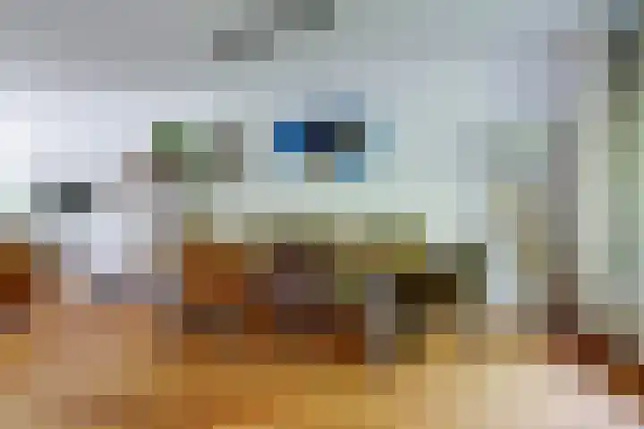Vioolstraat 27 Duiven thumbnail 6