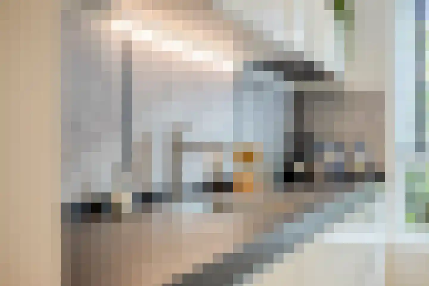 Vioolstraat 27 Eindhoven thumbnail 22