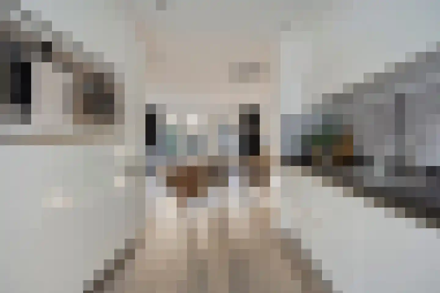 Vioolstraat 27 Eindhoven thumbnail 23