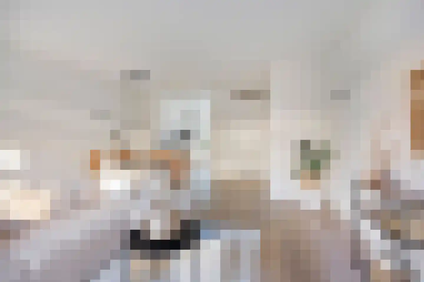 Vioolstraat 27 Eindhoven thumbnail 4