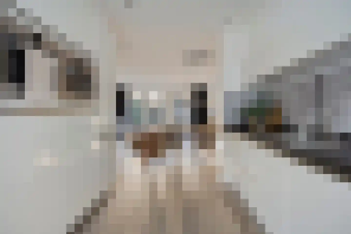 Vioolstraat 27 Eindhoven thumbnail 7