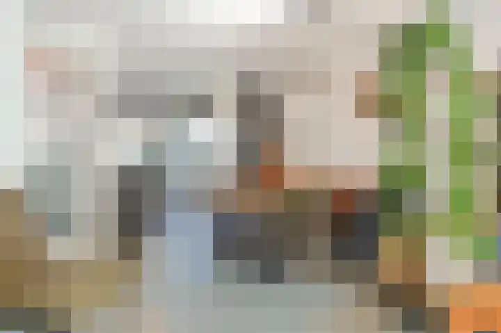 Vioolstraat 28 Eindhoven thumbnail 18