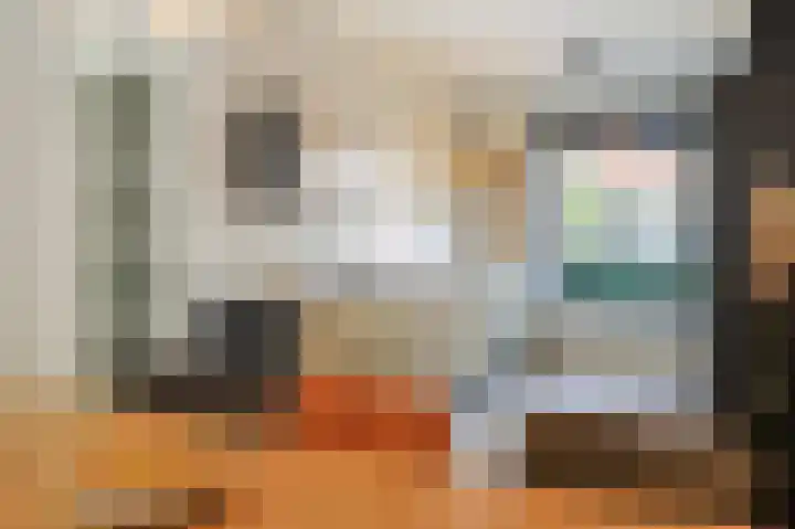 Vioolstraat 28 Eindhoven thumbnail 20