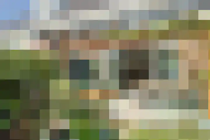 Vioolstraat 28 Eindhoven thumbnail 33
