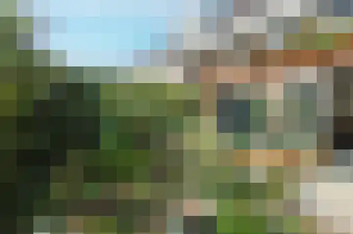 Vioolstraat 28 Eindhoven thumbnail 34