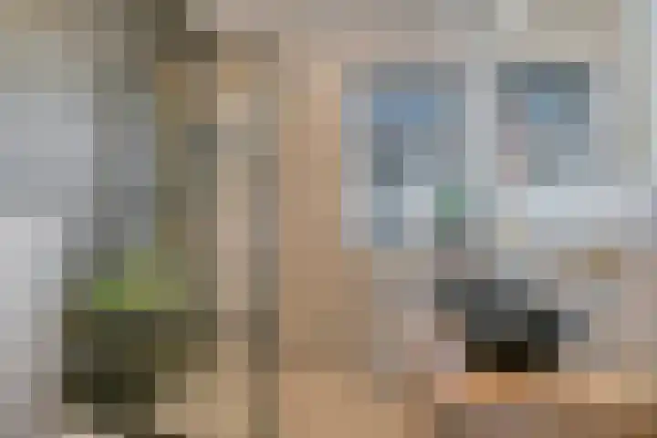 Vioolstraat 4 Eindhoven thumbnail 30
