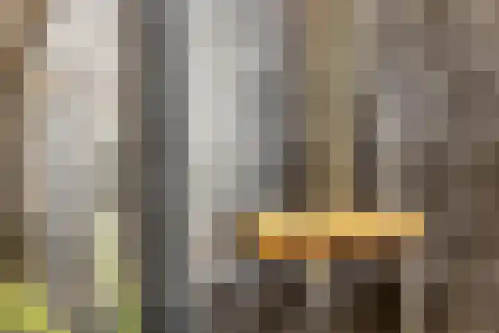 Vioolstraat 4 Eindhoven thumbnail 32