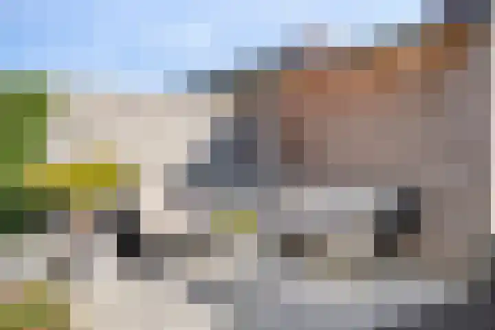 Vioolstraat 4 Eindhoven thumbnail 39