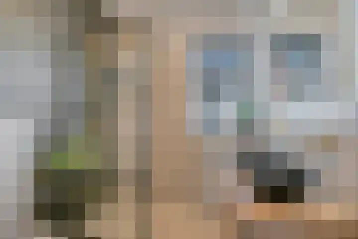Vioolstraat 4 Eindhoven thumbnail 5
