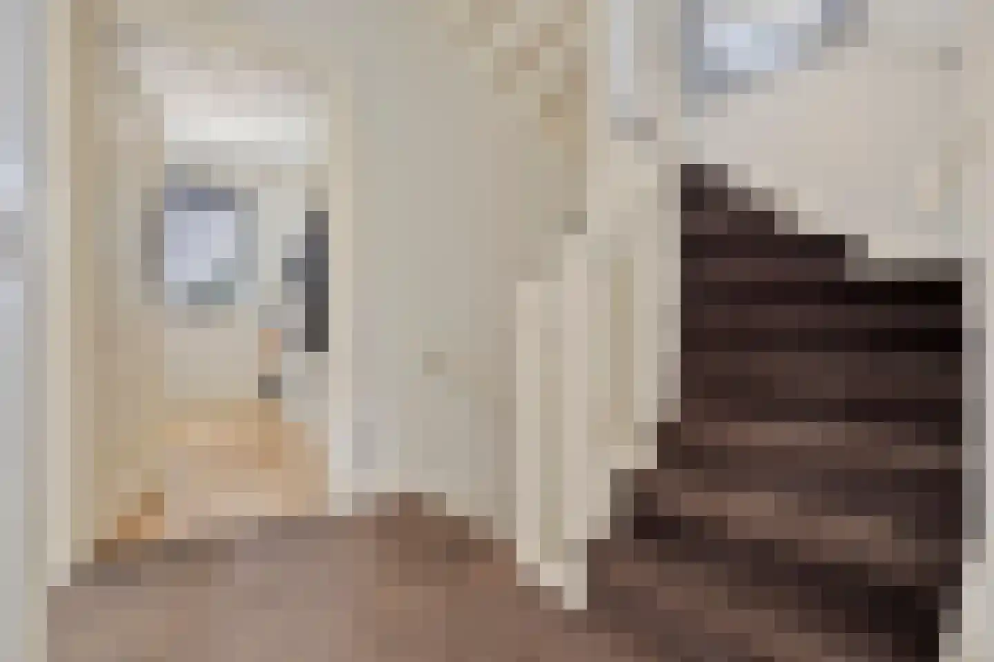 Vioolstraat 42 Eindhoven thumbnail 14